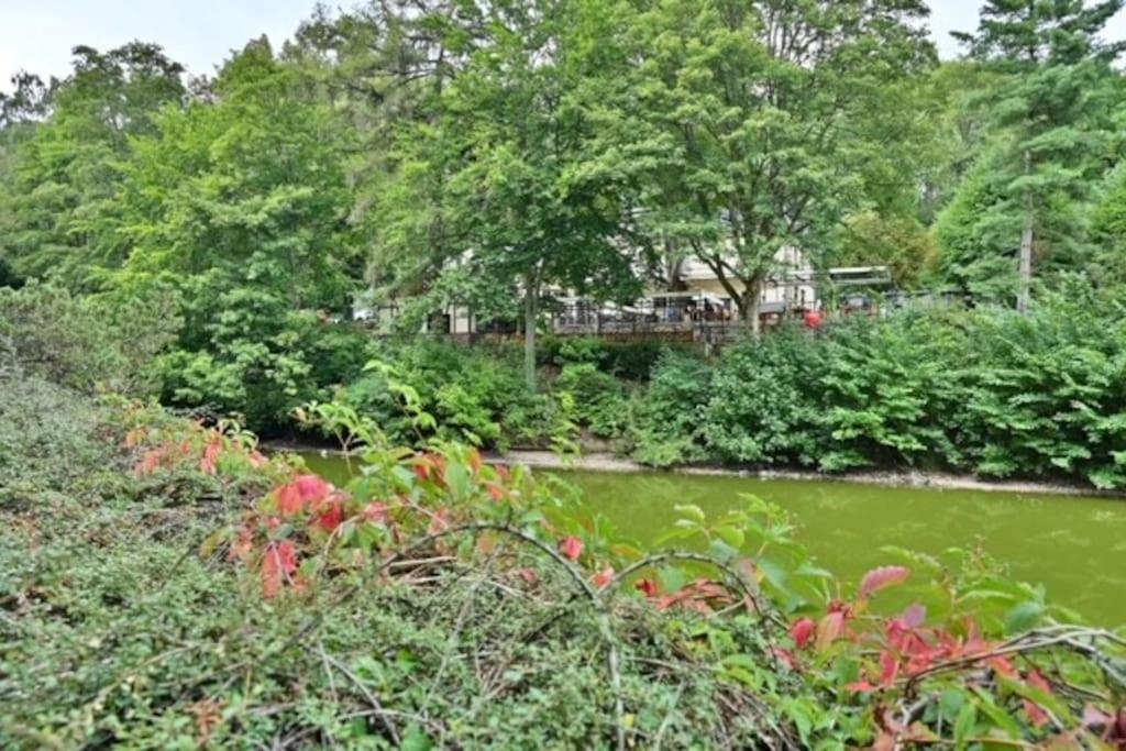 Apartament Krizikova 4 Karlowe Wary Zewnętrze zdjęcie