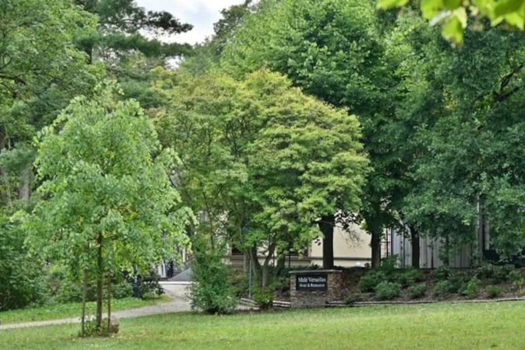 Apartament Krizikova 4 Karlowe Wary Zewnętrze zdjęcie